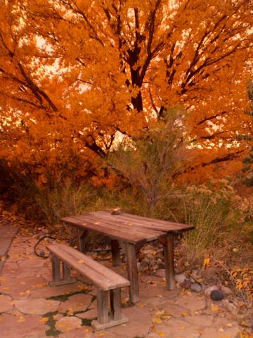 Silver River Adobe Inn Bed and Breakfast — photo 16