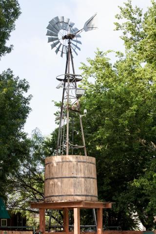 Gruene Cottages — photo 19