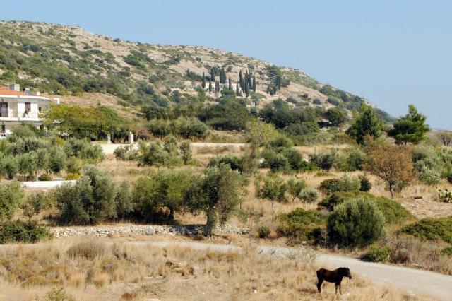Apollon Resort — photo 13