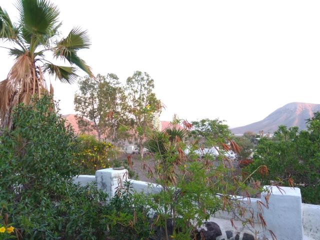 El Cerro de la Luna — photo 16