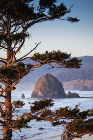 Inn at Cannon Beach — photo 18