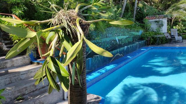 Hotel Villa Paraiso — photo 15