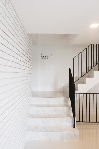 Zivi Nimman — photo 11