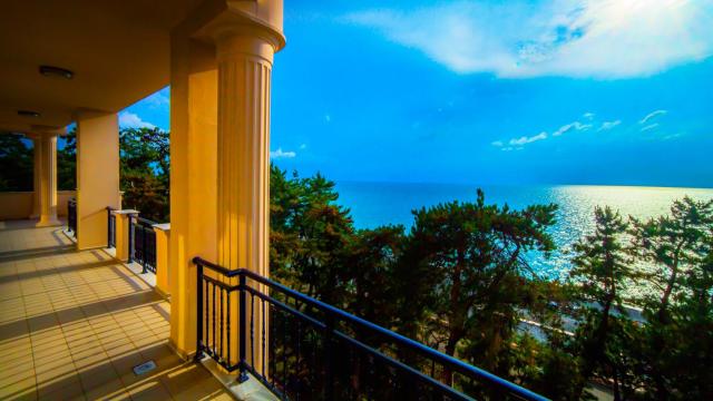 Kobuleti Georgia Palace Hotel & Spa — photo 21