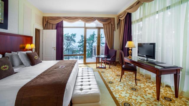 Kobuleti Georgia Palace Hotel & Spa — photo 8