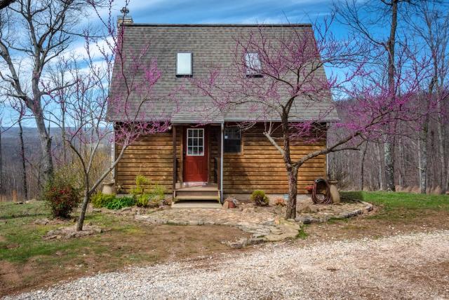 A Still Point Cabin — photo 5