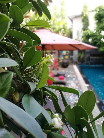 Villa Thapae — photo 14
