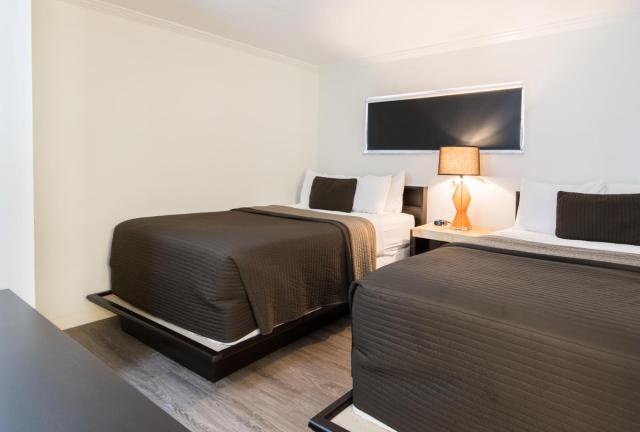 Hibiscus Suites - Sarasota — photo 2