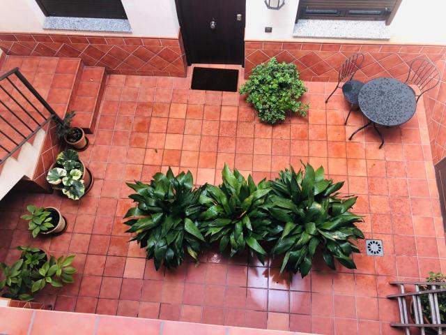 Alda Suite de los Reyes — photo 24