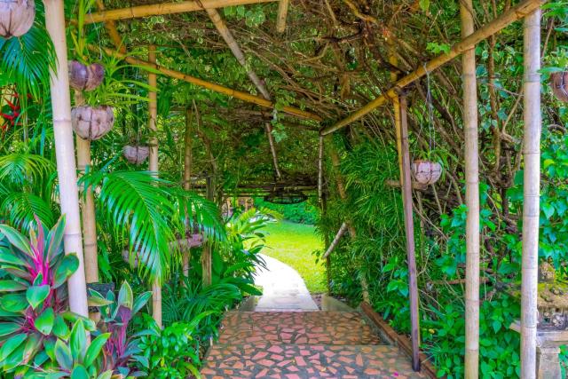 Chez Charly Bungalow — photo 21