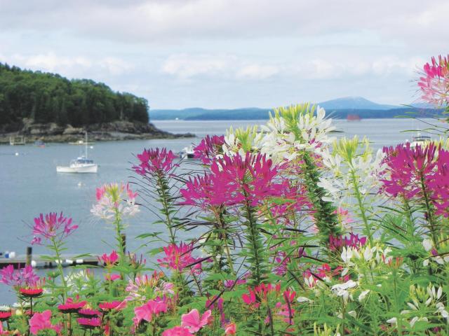 Bar Harbor Inn and Spa — photo 12
