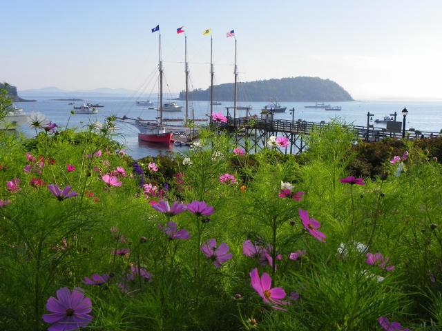 Bar Harbor Inn and Spa — photo 10
