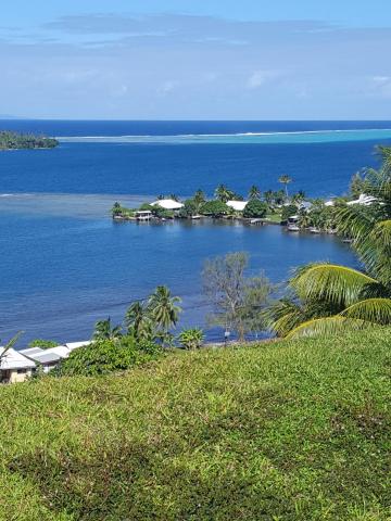 Faré Mahi Mahi — photo 15