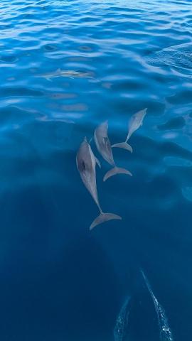 Eden BLUE — photo 17