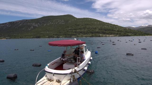 Marina Boutique Hotel — photo 23