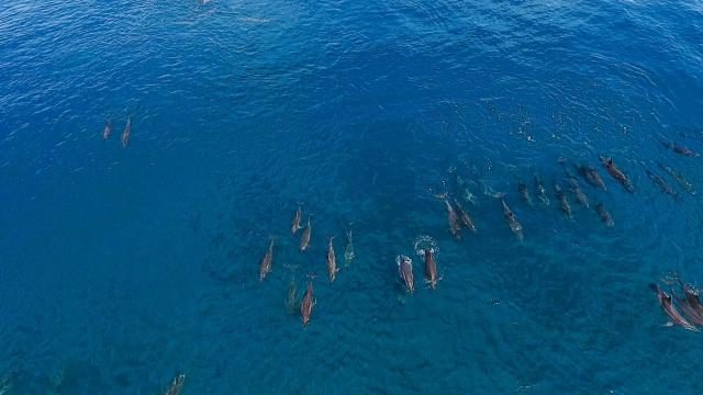 Akiri Surf Retreat — photo 23