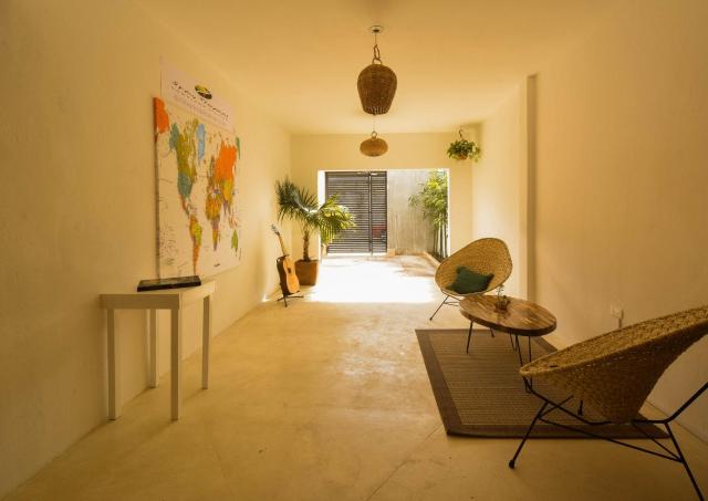 Stay Tropical — photo 11