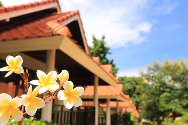 Aquavana Haad Rin Resort — photo 13