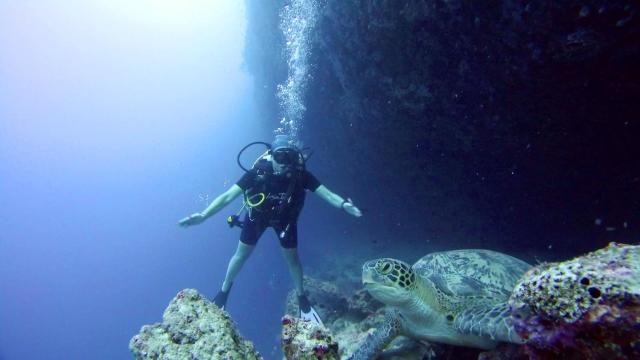 Equatorial Divers Lodge — photo 9
