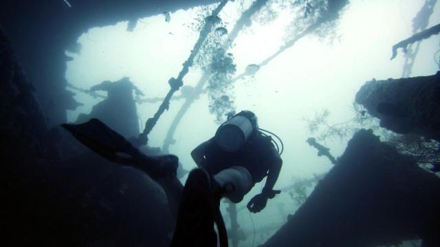 Equatorial Divers Lodge — photo 11