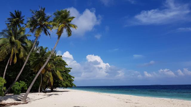 Blue World Dharavandhoo — photo 24