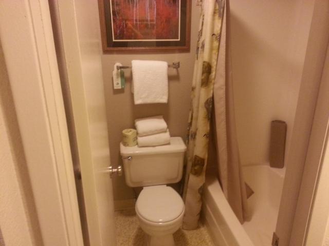 Mingo Motel — photo 22