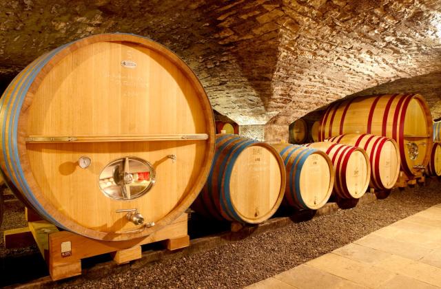 Chateau de Chassagne-Montrachet — photo 16