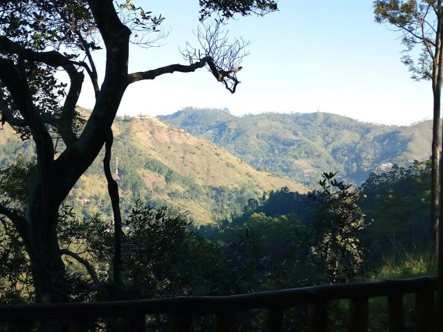Saffron Eco Cottage — photo 9