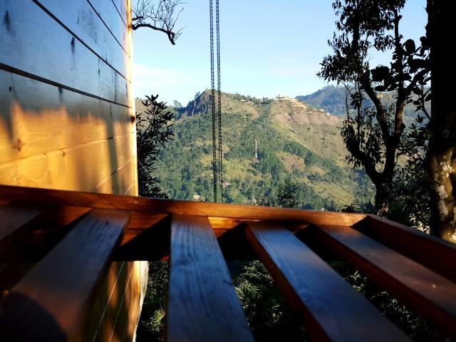 Saffron Eco Cottage — photo 13