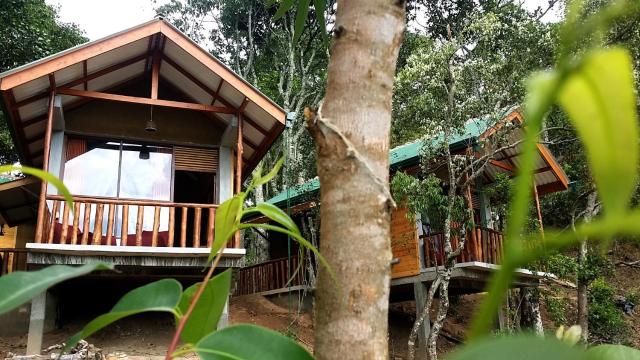 Saffron Eco Cottage — photo 21