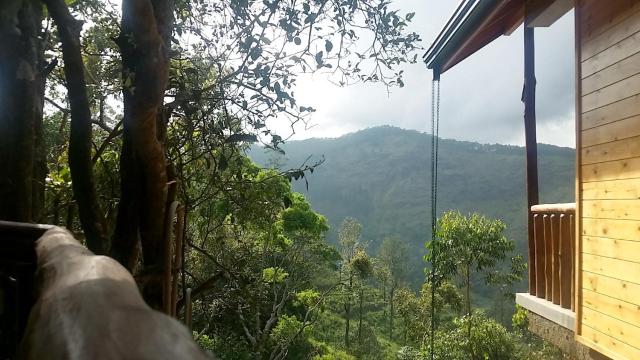 Saffron Eco Cottage — photo 15