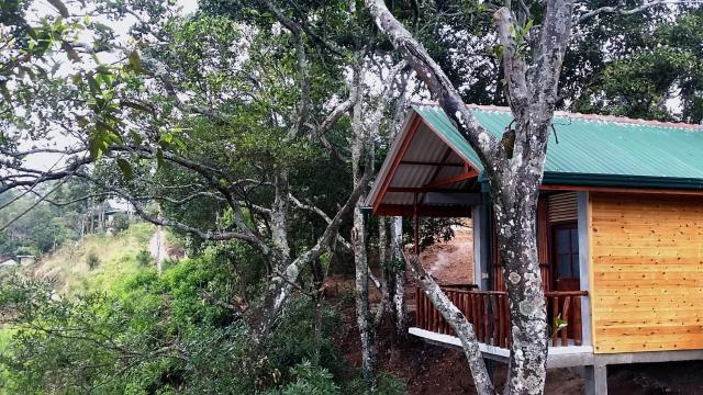 Saffron Eco Cottage — photo 14