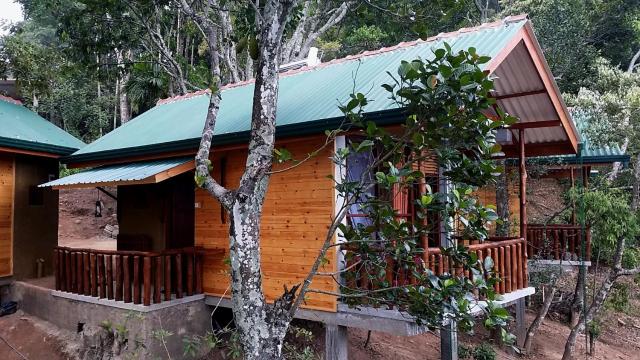Saffron Eco Cottage — photo 24
