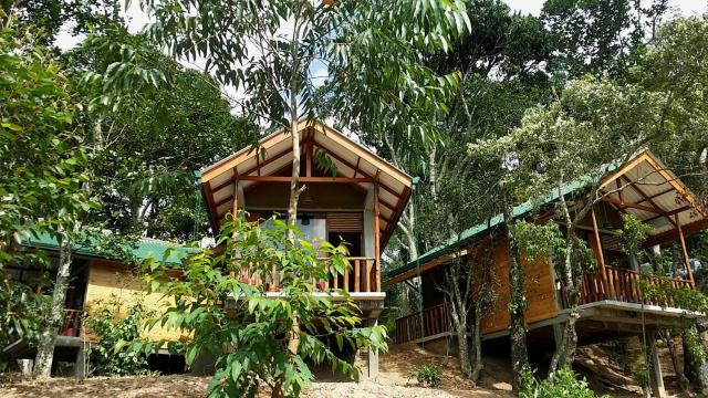 Saffron Eco Cottage — photo 16