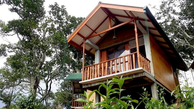 Saffron Eco Cottage — photo 18