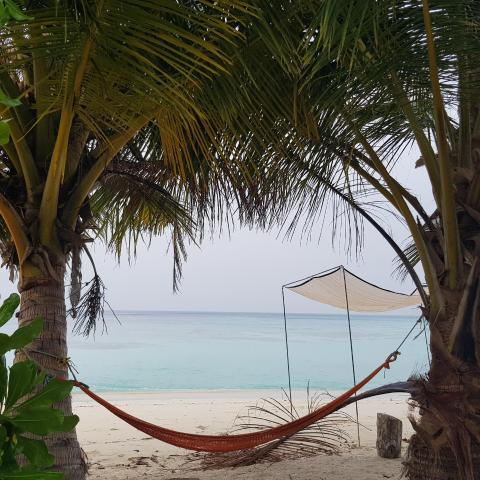 Vaali Maldives Island Escapes & Dive — photo 9