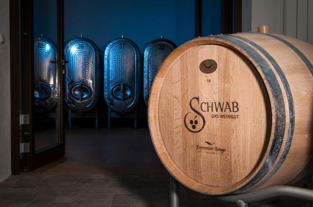 Pension Weingut Schwab — photo 9