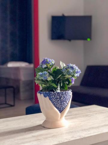 Check Point Hotel — photo 24