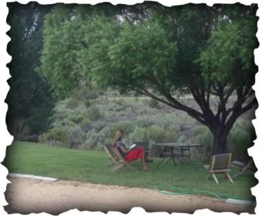 Bullberry inn Bed & Breakfast — photo 11