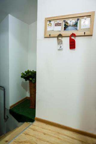 Mari's Smart House — photo 21