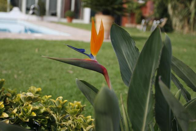 Hotel Oasis — photo 15