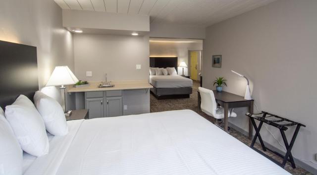Americana Modern Hotel — photo 21