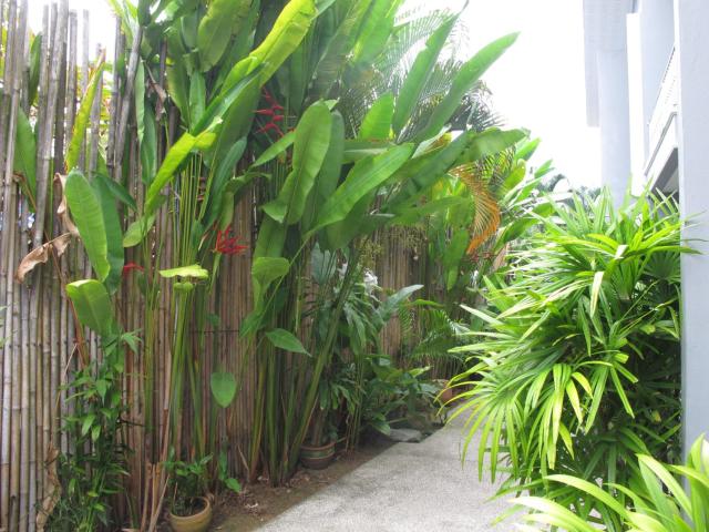 MJ Boutique Hotel Khao Lak — photo 24