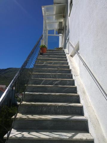 Monte Estrela — photo 11