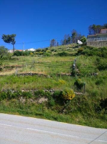 Monte Estrela — photo 20