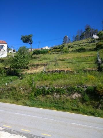 Monte Estrela — photo 19
