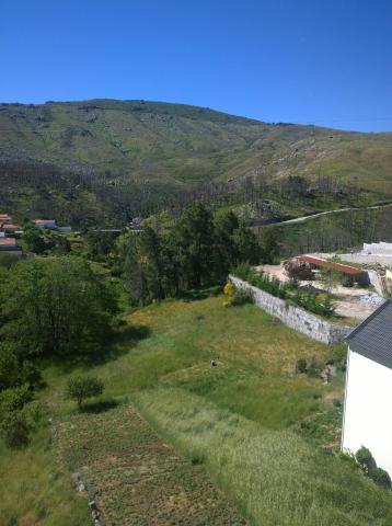 Monte Estrela — photo 14