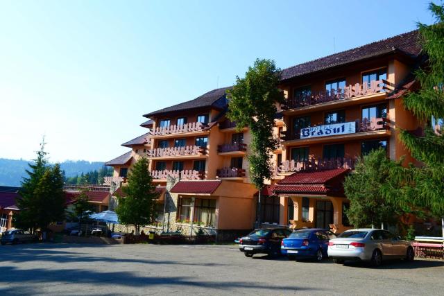 Hotel Bradul in Romania