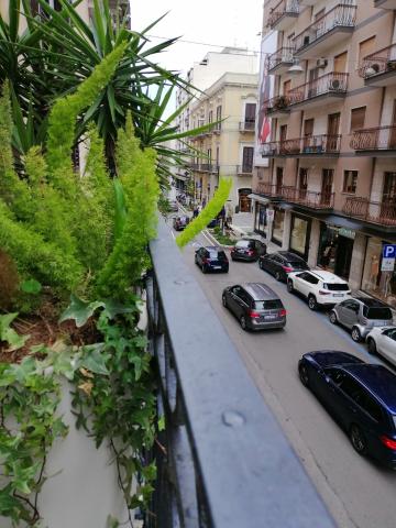 BARI 102 — photo 24