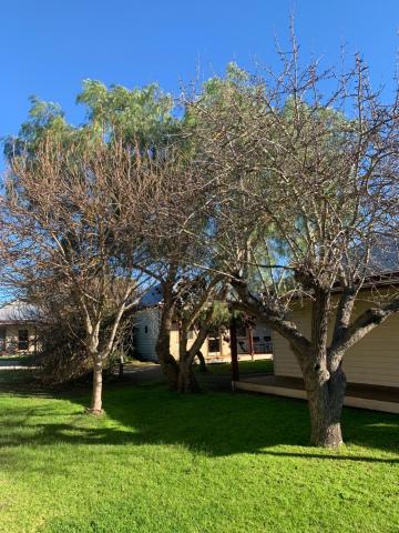 Dunkeld Village Accommodation — photo 11